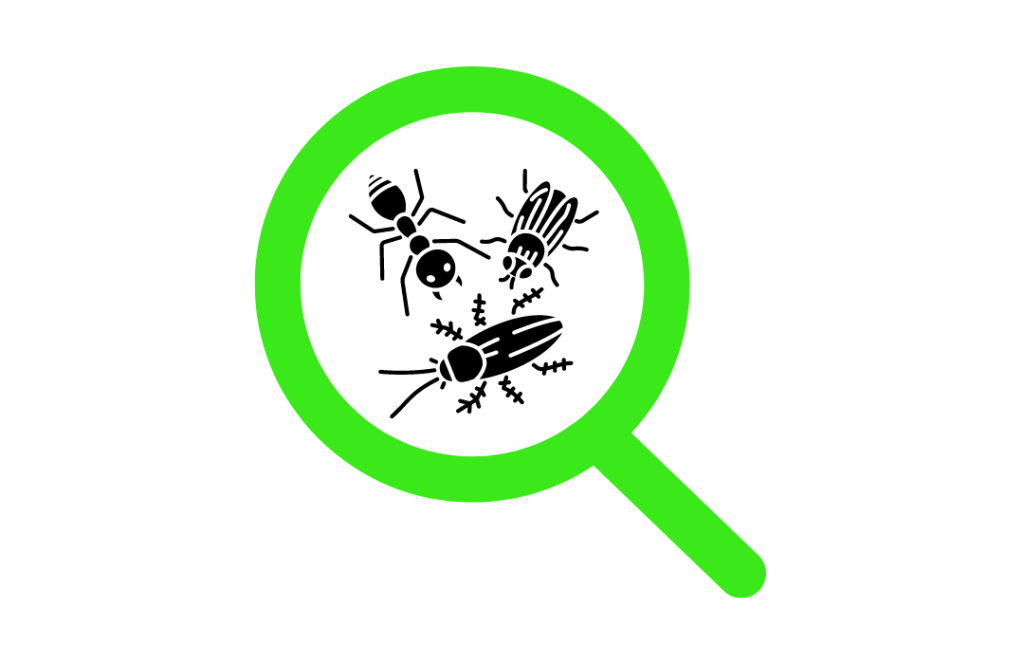 inspection icon