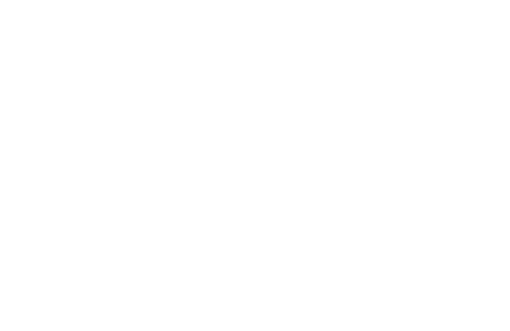 experience and quality icon